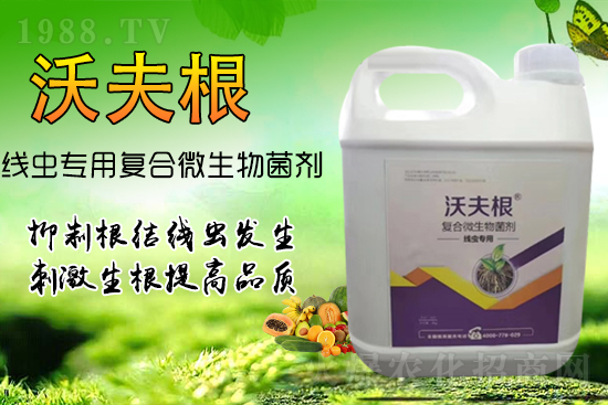 根結線蟲侵染作物根部？教你幾招，不反彈效果更!