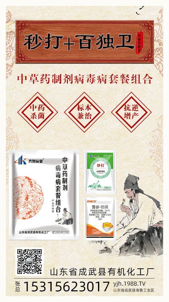 “植物癌癥-病毒病”被攻克了！純中草藥“殺菌霸主”