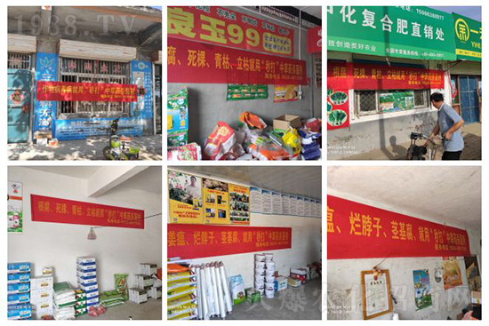 “植物癌癥-病毒病”被攻克了！純中草藥“殺菌霸主”