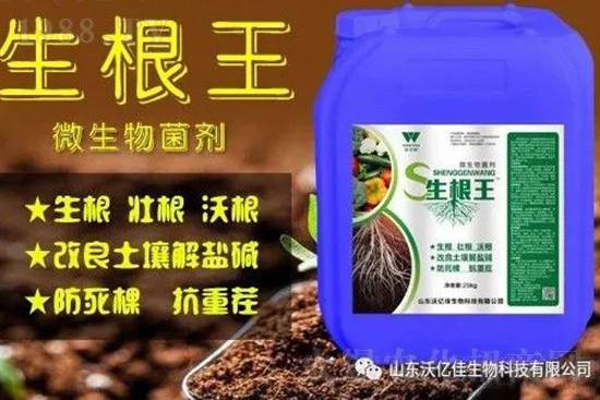 作物重茬、爛根死棵嚴(yán)重啥原因？如何改善這些難題？