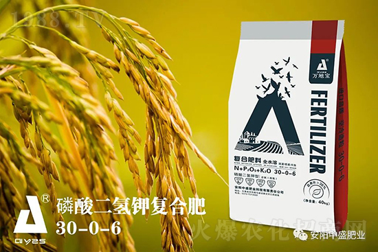 水稻分蘗不好對產量有多大影響？促進水稻分蘗怎么做？