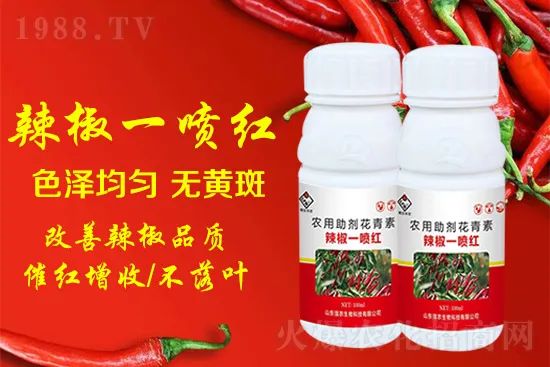 辣椒催紅增收專利產(chǎn)品！自然增紅零激素，色澤勻無黃斑