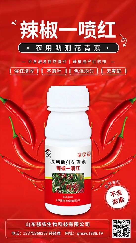 辣椒催紅增收專利產(chǎn)品！自然增紅零激素，色澤勻無黃斑