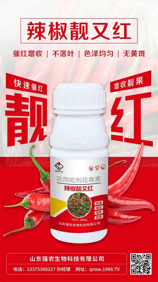 辣椒催紅增收專利產(chǎn)品！自然增紅零激素，色澤勻無黃斑