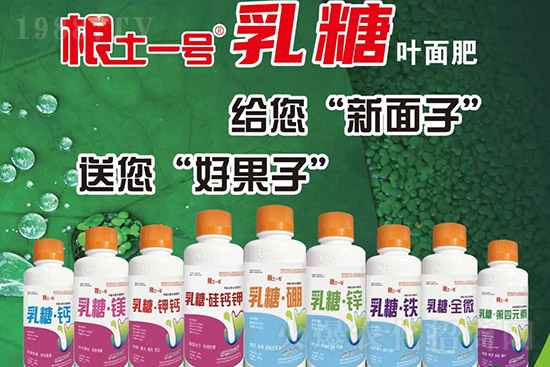 獼猴桃需肥特點(diǎn)有哪些？獼猴桃膨大肥怎么施