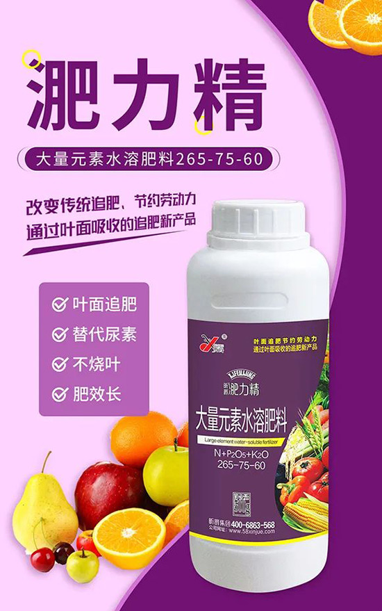 玉米追肥復(fù)合肥好還是尿素好?很多人都錯(cuò)了!它才是正確選擇