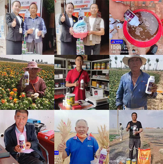 玉米追肥復(fù)合肥好還是尿素好?很多人都錯(cuò)了!它才是正確選擇