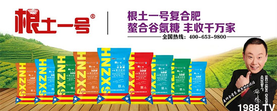 ɽ�����r(n��ng)�����＼�g(sh��)�ɷ����޹�˾13