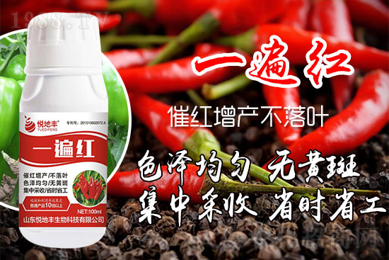 辣椒為什么要增紅？辣椒增紅上色哪個(gè)牌子好？