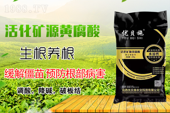 礦源黃腐酸鉀你了解多少？礦源黃腐酸鉀遇見微生物菌劑有啥奇妙反應(yīng)？