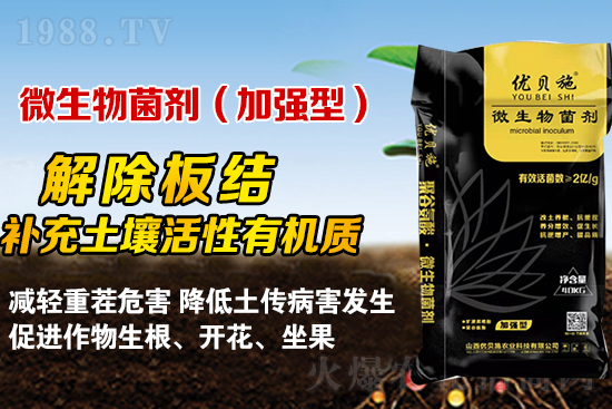 礦源黃腐酸鉀你了解多少？礦源黃腐酸鉀遇見微生物菌劑有啥奇妙反應(yīng)？