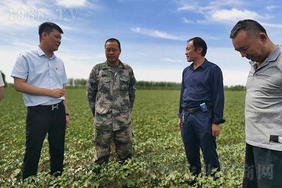 中農(nóng)化新疆北疆辦事處負責人：同路同行共發(fā)展