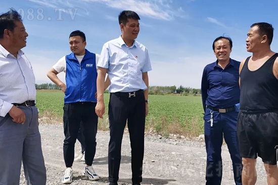 中農(nóng)化新疆北疆辦事處負責人：同路同行共發(fā)展