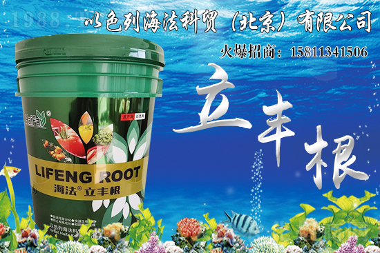 海藻肥生根效果怎么樣？比傳統(tǒng)肥料好在哪