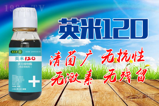 ��轰׷۲��İY����ʲô����轰׷۲����η�����