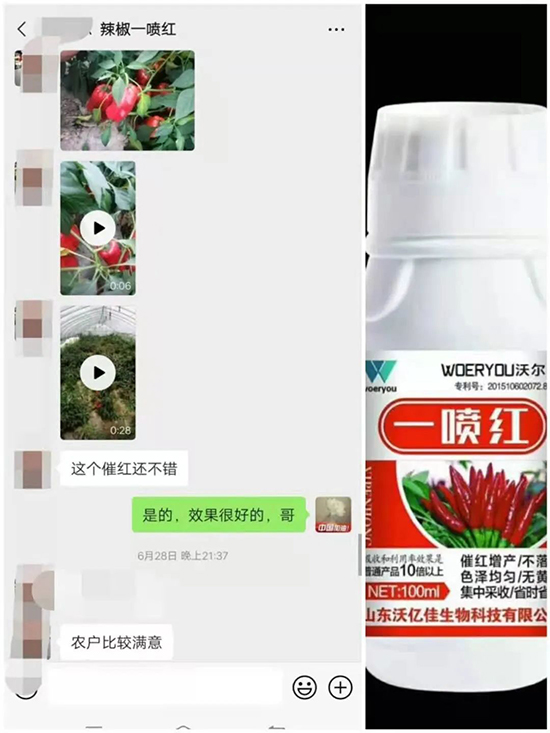 增紅率提高95%！催紅不落葉！收入翻幾番！就用辣椒一噴紅！