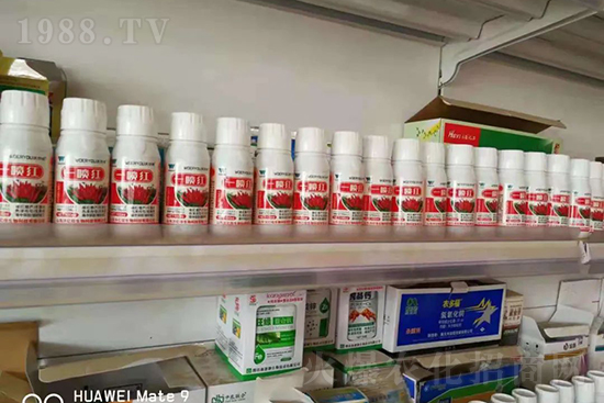 增紅率提高95%！催紅不落葉！收入翻幾番！就用辣椒一噴紅！