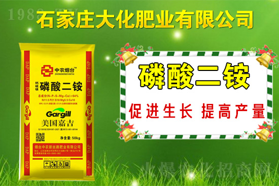 戰(zhàn)略合作再升級(jí)，石家莊大化肥業(yè)再次簽約1988.TV！