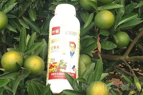 紅果素—只為轉(zhuǎn)色而生！轉(zhuǎn)色快、高，催紅不用愁！