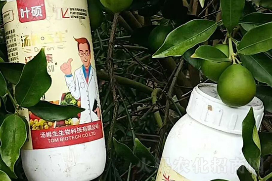 紅果素—只為轉(zhuǎn)色而生！轉(zhuǎn)色快、高，催紅不用愁！