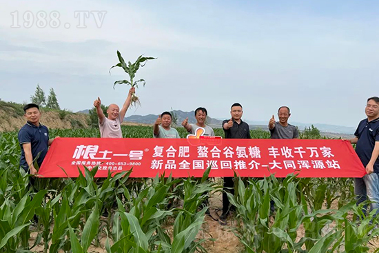 渾源玉米頂呱呱，營(yíng)養(yǎng)補(bǔ)充全靠它