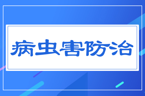 病蟲(chóng)害防治