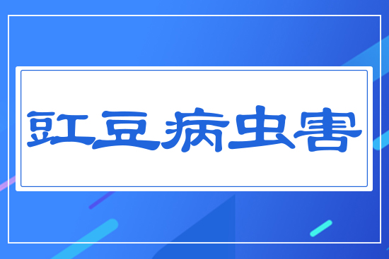 �������x(ch��ng)��