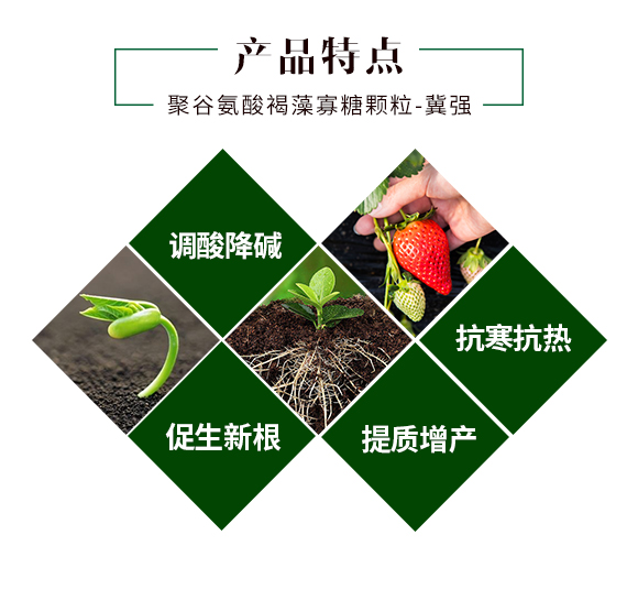 聚谷氨酸褐藻寡糖顆粒-禾健_03