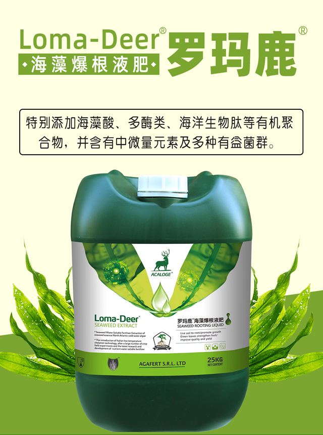 爆根液肥-海鯨_01