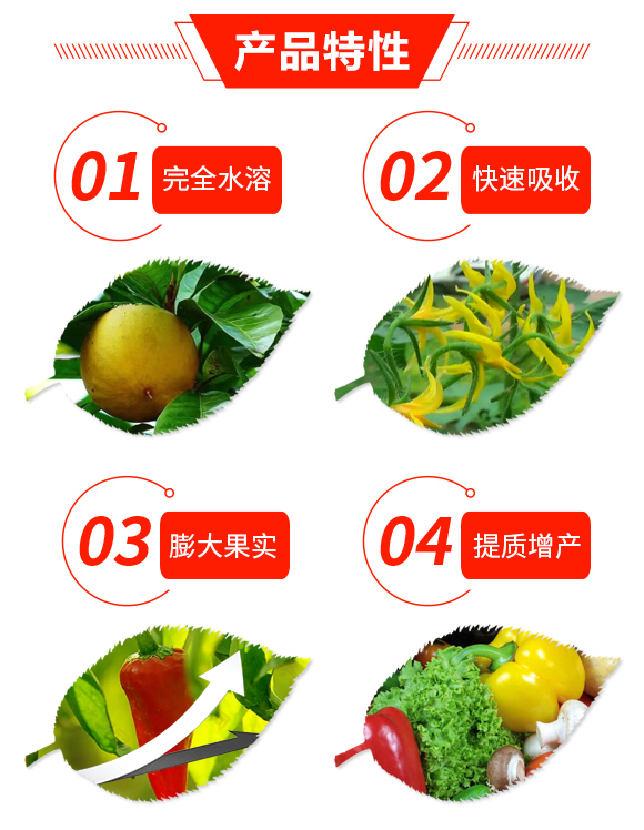 氨基酸有機氮肥-大化肥業(yè)_03