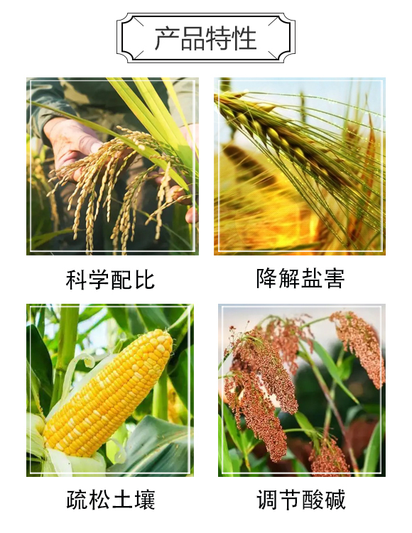 戰(zhàn)鹽-國亨肥業(yè)_03