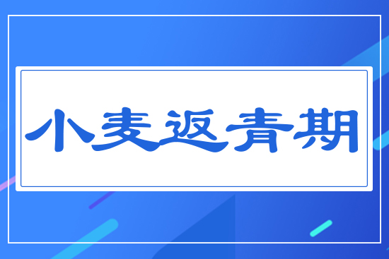 С��������