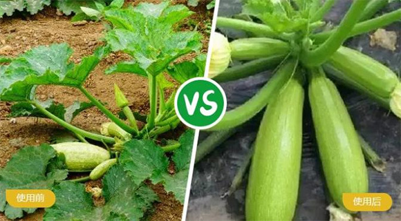 ���ь��ô���Ԫ��ˮ�ܷ���19-19-19+TE-�r(n��ng)������4