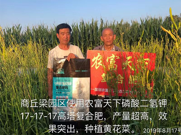 玉米專用磷酸二氫鉀型全水溶復合肥料28-6-6-馬大哈-農(nóng)富天下4