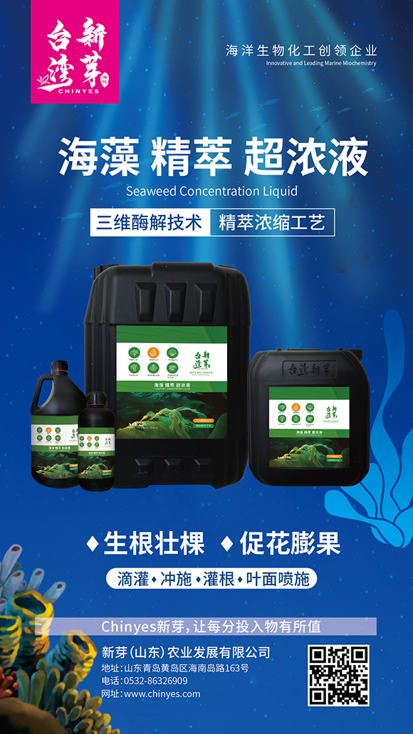 瓶裝海藻精萃超濃液-臺灣新芽4