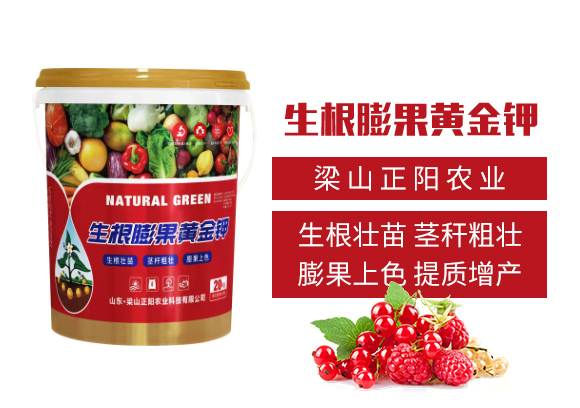 梁山正陽農(nóng)業(yè)科技有限公司_02