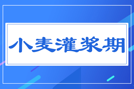 С�����{��