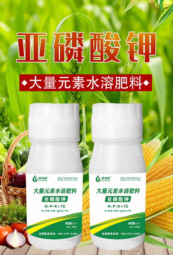 �������-�Ϳɶ�_01