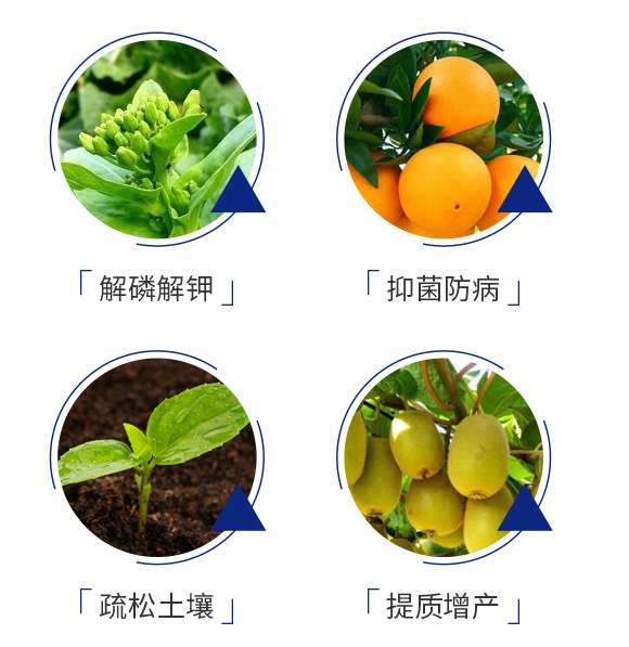 ΢�������-�Ϳɶ�_05