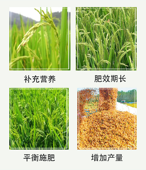 摻混肥料-大化肥業(yè)_05