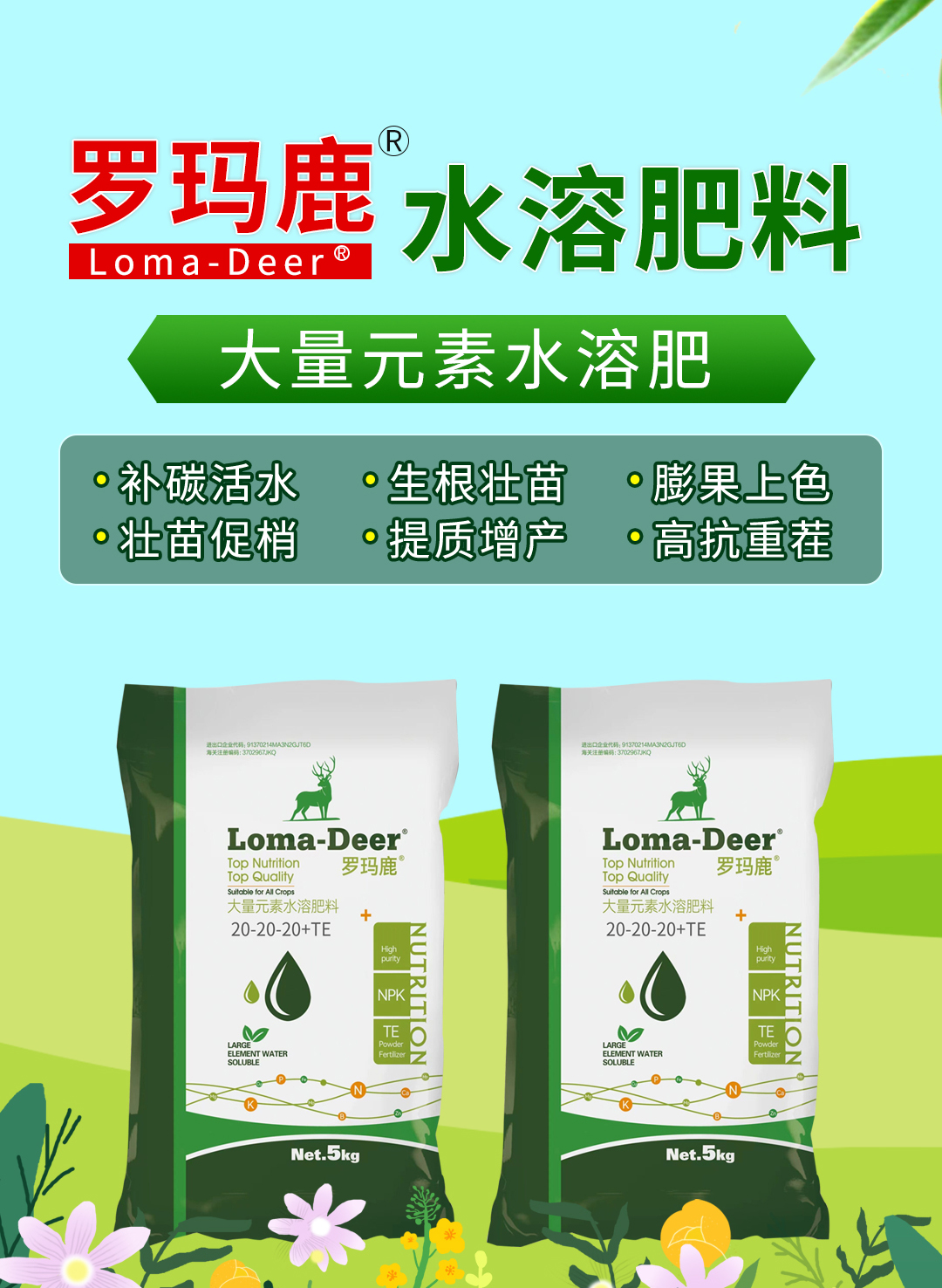 ���u���L�M(j��n)�������޹�˾02