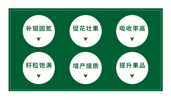 河北晁群農(nóng)業(yè)科技有限公司_02