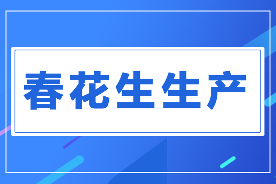春花生生產