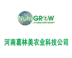 ���ϸ������r�I(y��)�Ƽ����޹�˾