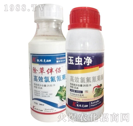 2.5%高效氯氟氰菊酯-除草伴侶+玉蟲凈-凱瑞克