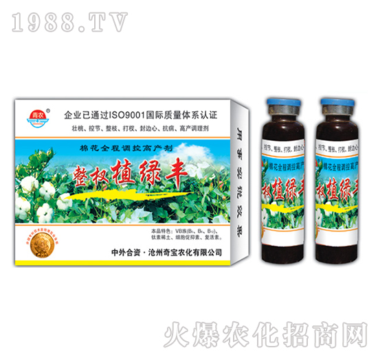 24g���ֲ�G�S-�挚�r��