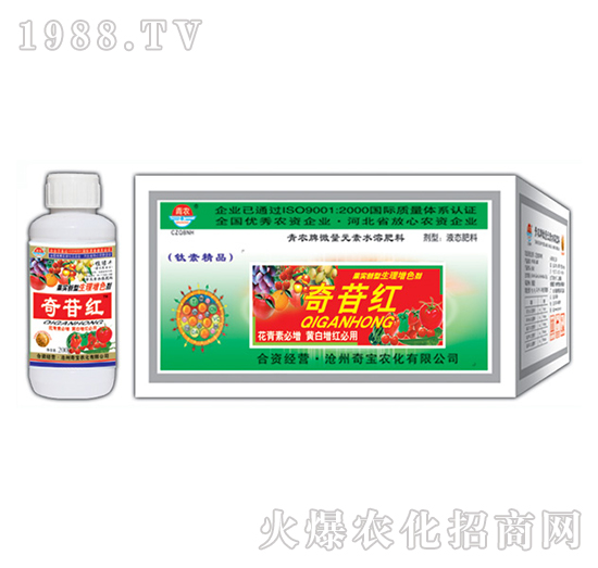 200g���ռt-�挚�r��