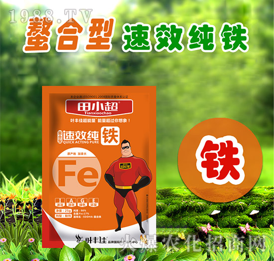 25g速效純鐵-田小超