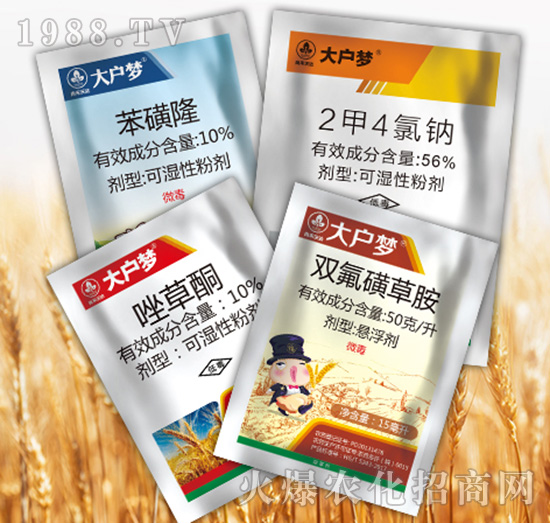 大戶夢4組合-尚禾沃達