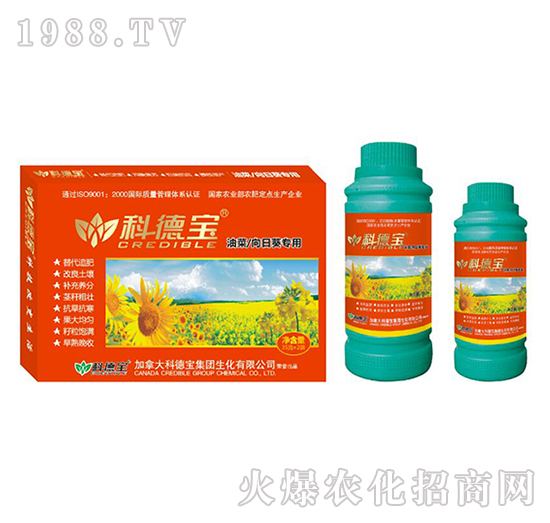 油菜、向日葵專(zhuān)用營(yíng)養(yǎng)增產(chǎn)調(diào)理劑-科德寶